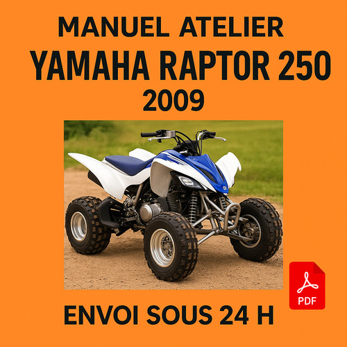 Manuel atelier yamaha 250 - manuel,