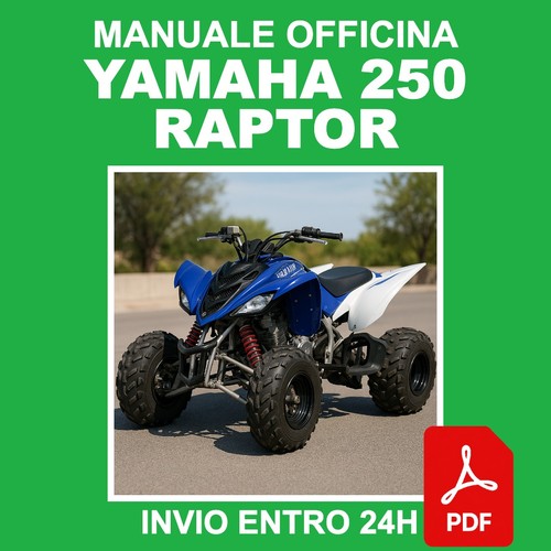 Manuale officina yamaha 250 - manuale,
